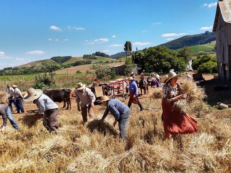 Agricultura