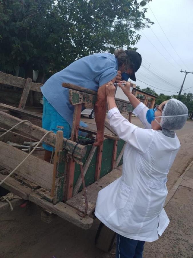 Municípios são orientados a manter vacinação durante o feriado de Páscoa