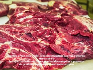 Carnes, arroz, soja e café: os setores beneficiados com o acordo Mercosul-UE
