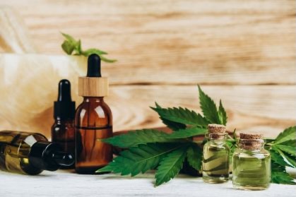 Anvisa avança em proposta para regularizar produção de cannabis medicinal