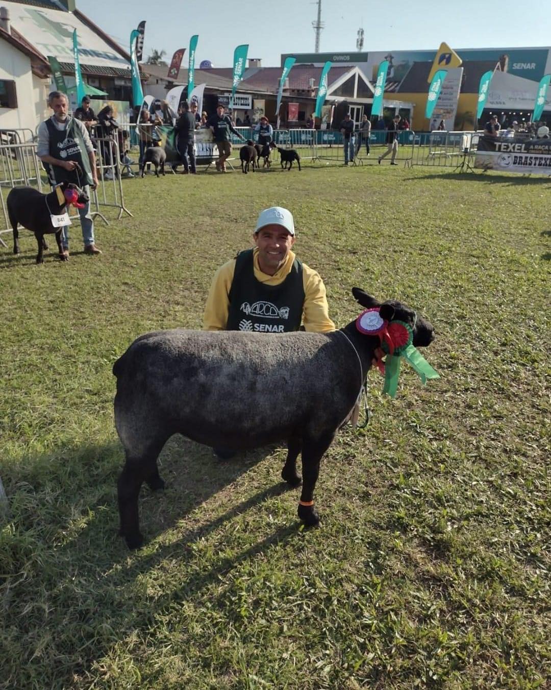 CABANHA GD DALBOSCO É DESTAQUE NA PREMIAÇÃO DA RAÇA TEXEL NA EXPOINTER.