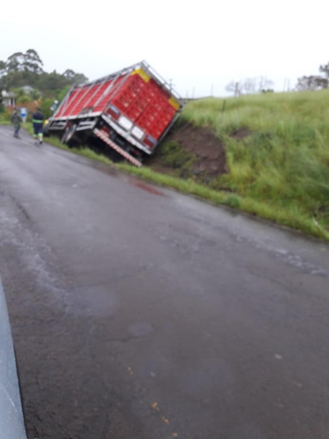 Caminhão carregado com frangos sai da pista em Progresso