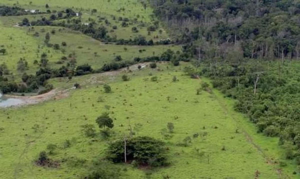 Certificado de Cadastro de Imóvel Rural (CCIR) pode ser pago até 16 de agosto