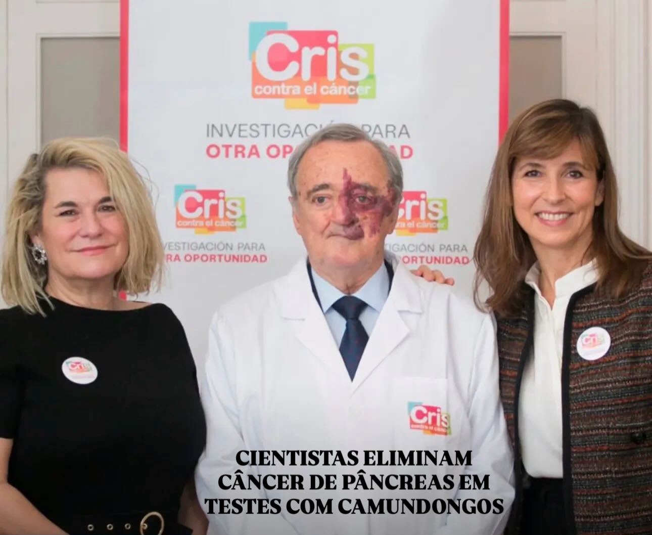 CIENTISTAS ELIMINAM CÂNCER DE PÂNCREAS EM TESTES COM CAMUNDONGOS