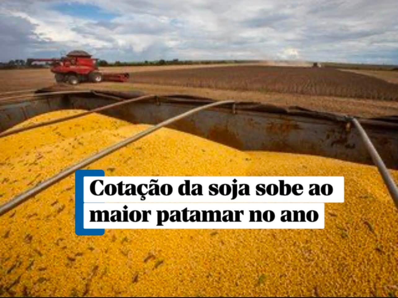 Cotação da soja sobe ao maior patamar no ano