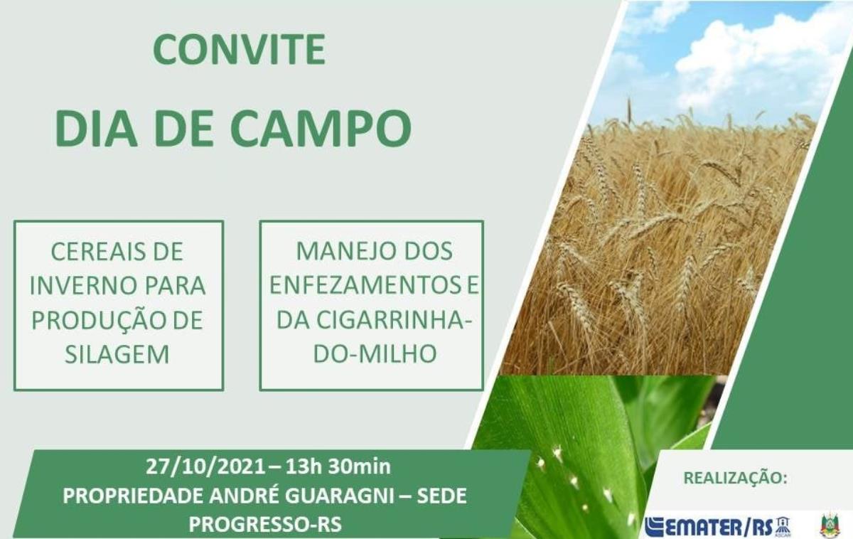 Emater/RS-Ascar Secretaria da Agricultura realizarão tarde de campo