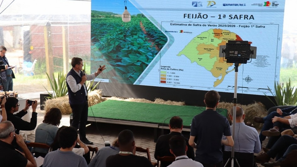 Emater/RS-Ascar projeta aumento na produção de soja e milho no RS