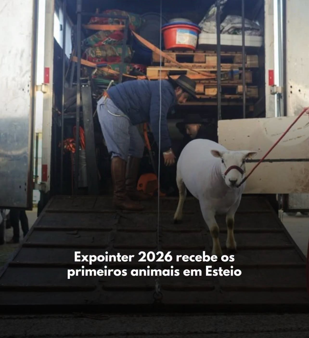 Expointer 2026 recebe os primeiros animais em Esteio
