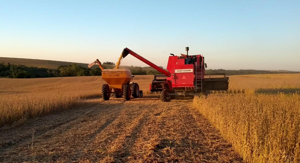 Exportações do agronegócio gaúcho atingem US$ 15,3 bi em 2021