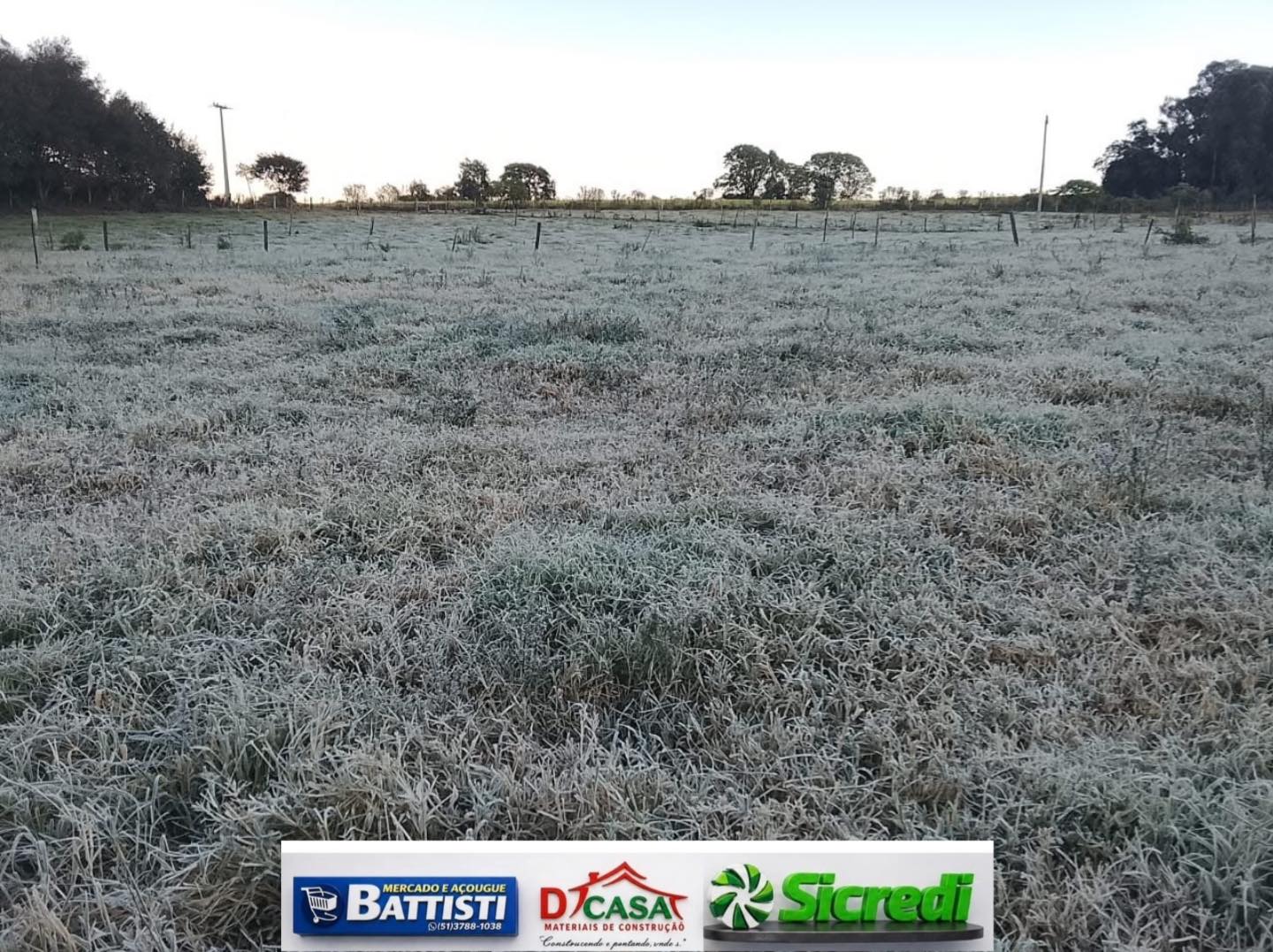 Frio Extremo no RS: Vacaria e Soledade Registram Mínimas Negativas e Recordes de Temperatura