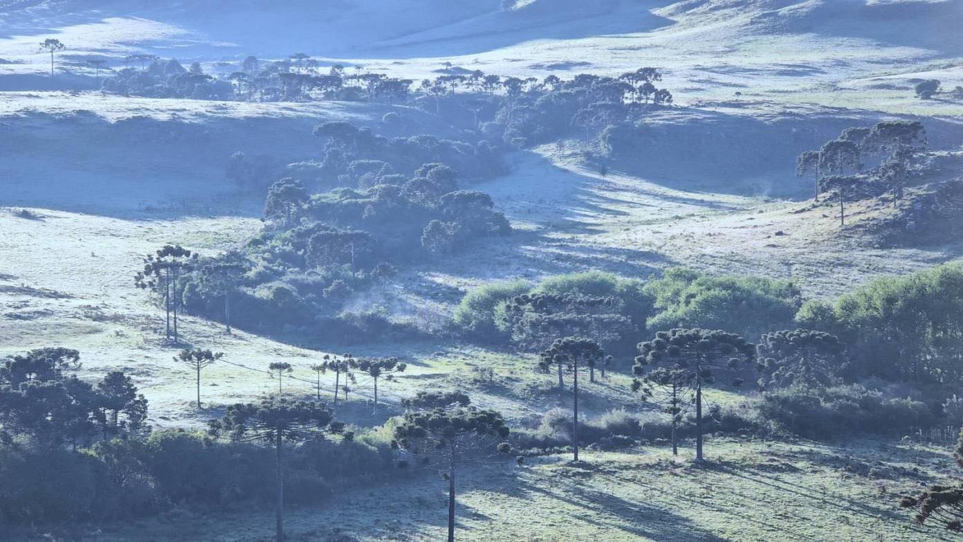 Geada surpreende em pleno novembro no Vale do Caminhos da Neve em São Joaquim