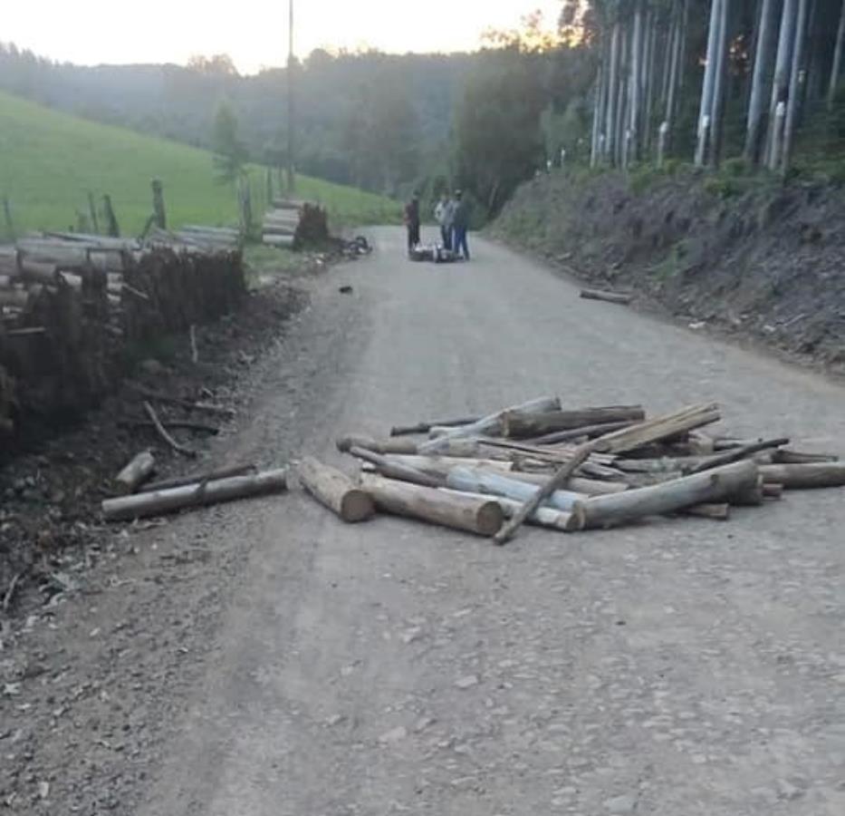 Madeiras de eucalipto em estrada causa acidente de motociclista em Progresso