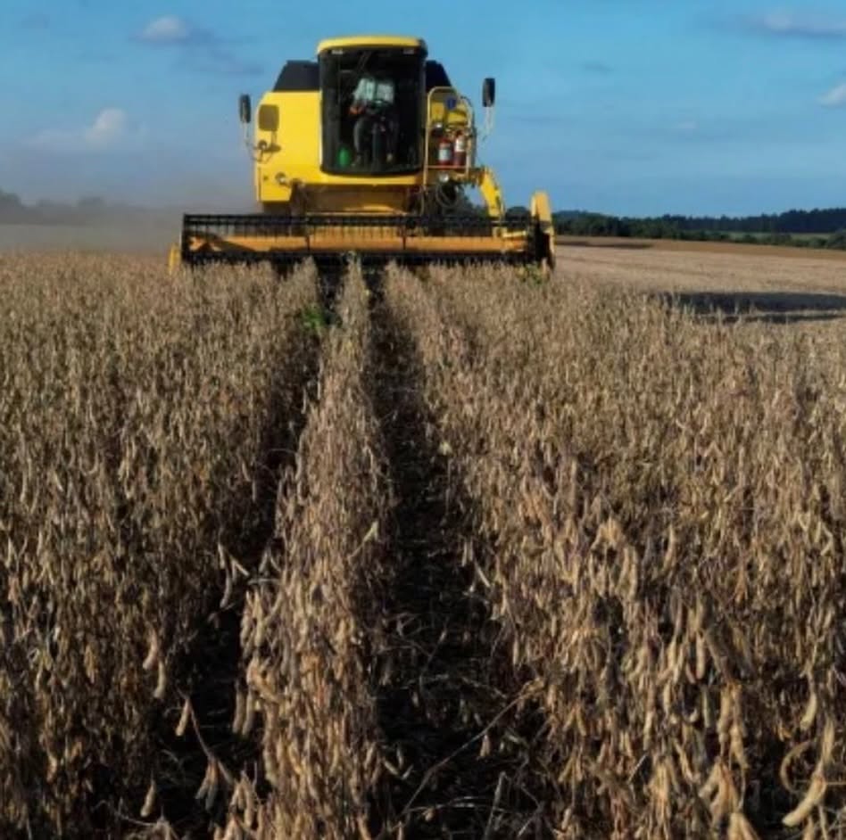 Plano Safra da Agricultura Familiar 2026/2027 terá R$ 97,3 bilhões
