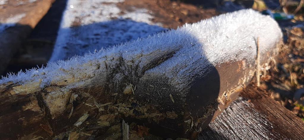 Precipitação invernal com neve e geada se confirma