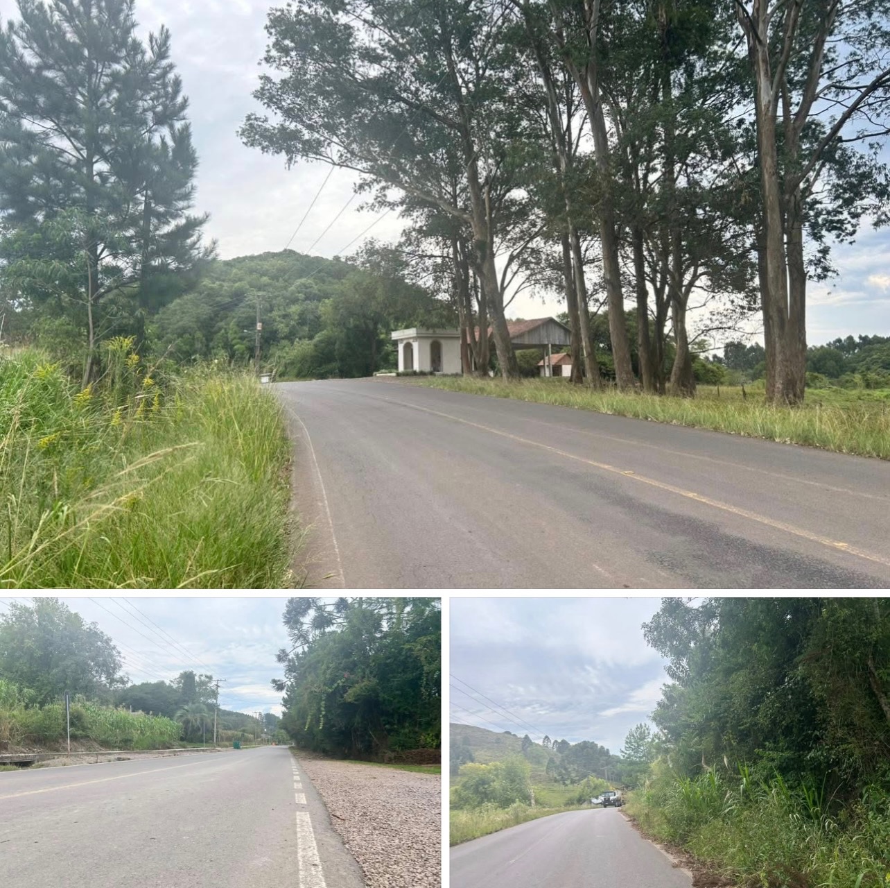 Progresso realiza mutirão de limpeza e conscientização ambiental