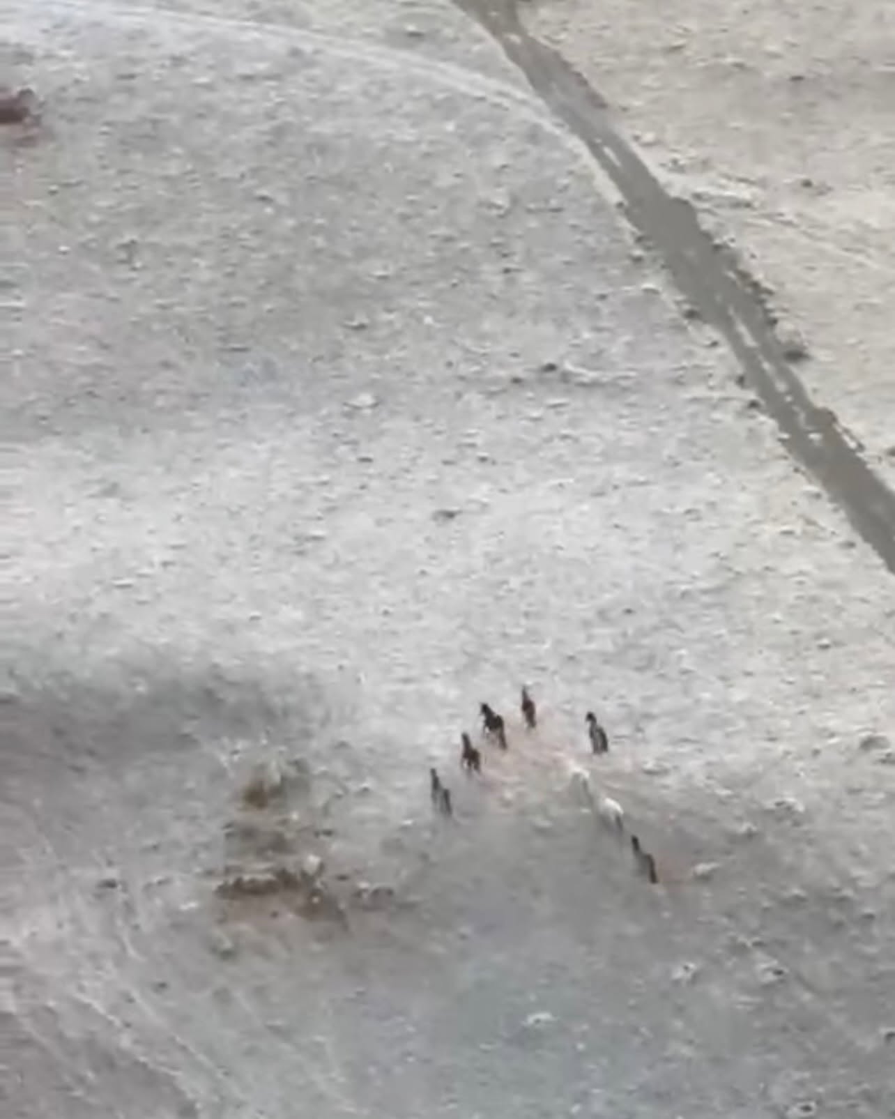 Recorde de frio e previsão de chuva marcam a semana no RS