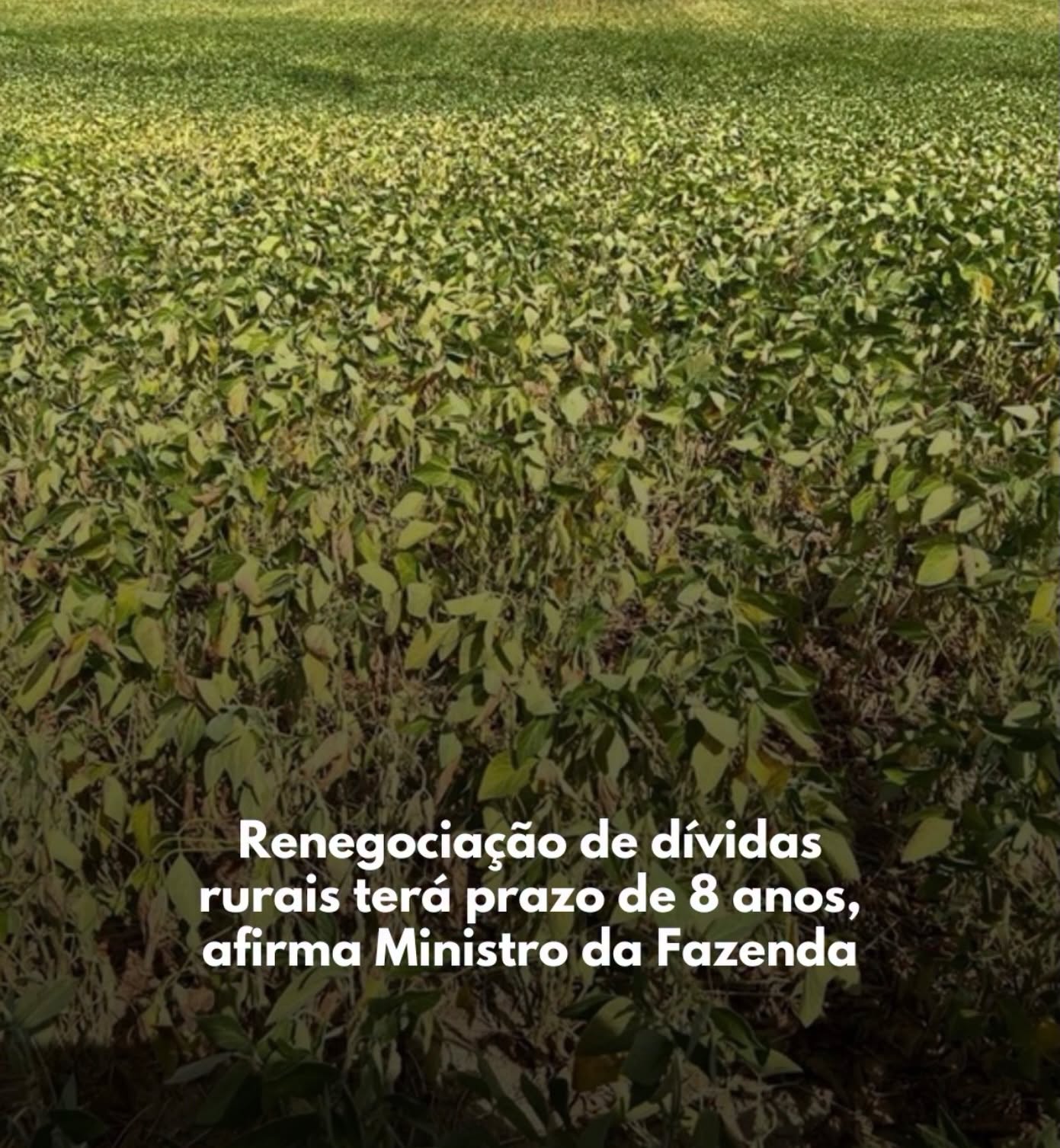 Renegociação de dívidas rurais terá prazo de 8 anos, afirma Ministro da Fazenda